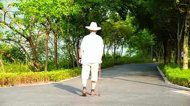 4K实拍公园里漫步的老人背影散步视频的预览图
